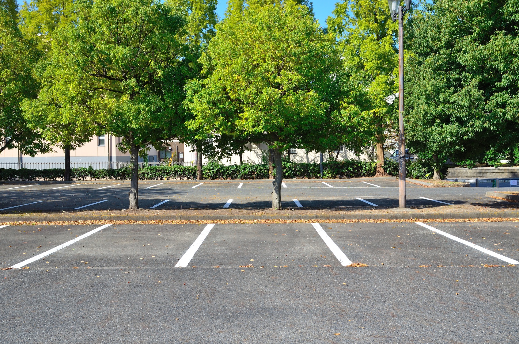 Paving Contractors Share 5 Asphalt Parking Lot Maintenance