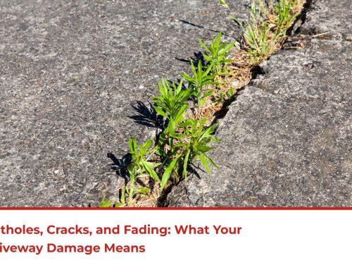 Potholes, Cracks, and Fading: What Your Driveway Damage Means