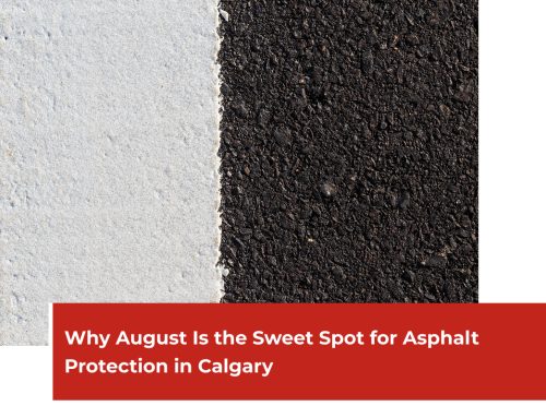 Why August Is the Sweet Spot for Asphalt Protection in Calgary