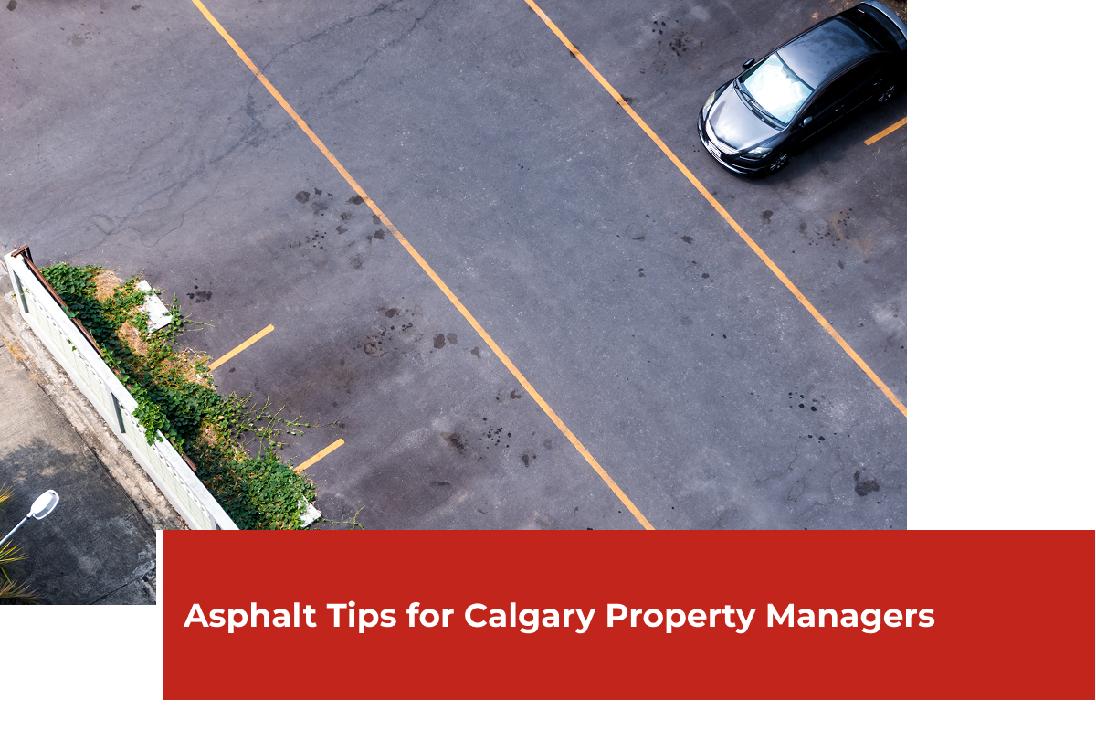 Freshly paved Calgary parking lot with clear yellow lines – Bulldog Paving asphalt maintenance tips for property managers.