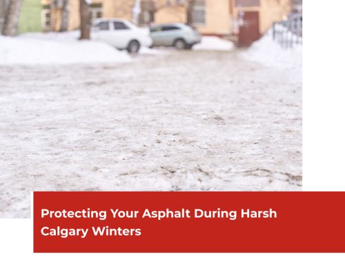 Protecting Your Asphalt During Harsh Calgary Winters
